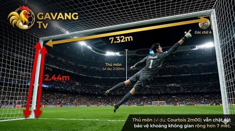 Kích thước khung thành sân 11 người chuẩn FIFA (7.32m x 2.44m) và thử thách cản phá bóng tại góc chữ A dành cho thủ môn.