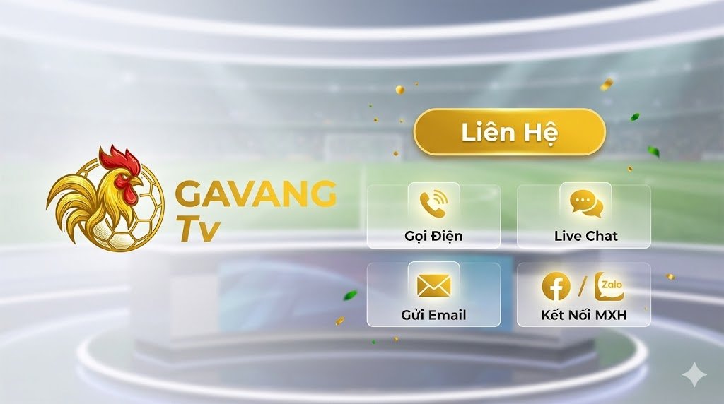 Các phương thức liên hệ chăm sóc khách hàng trực tuyến 24/7 của Gavang TV bao gồm Hotline, Live Chat và Email.