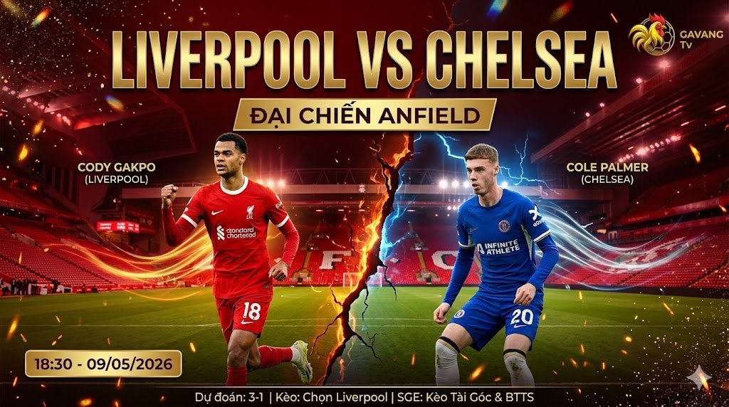 Hình ảnh nhận định bóng đá Liverpool vs Chelsea tại Gavang TV với ngôi sao Cody Gakpo và Cole Palmer