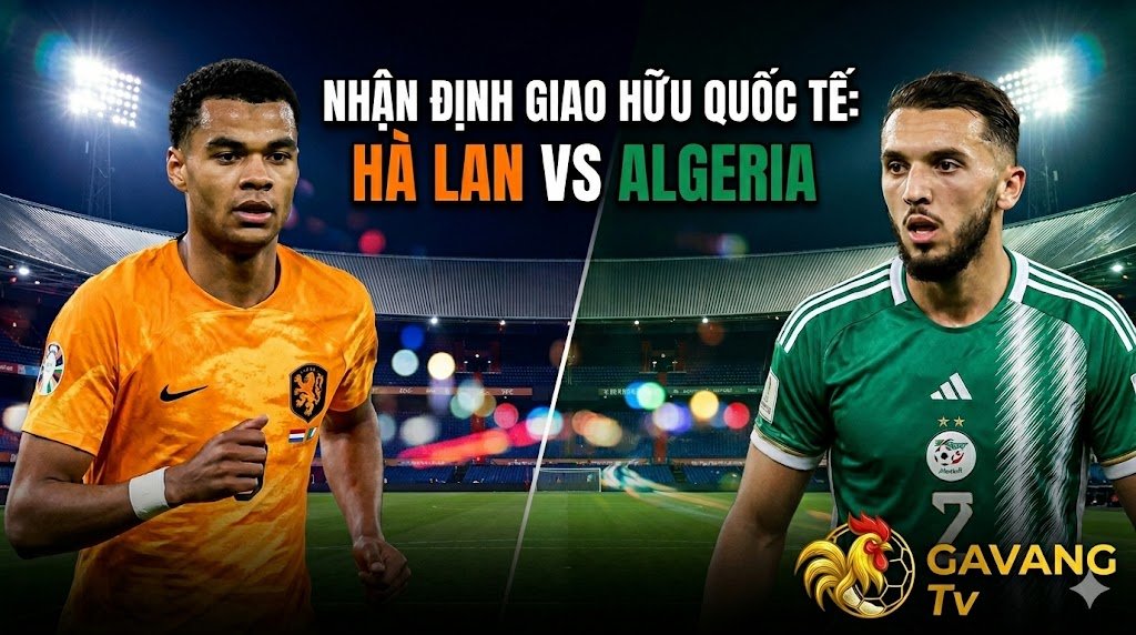 Nhận định trận đấu giao hữu quốc tế giữa đội tuyển Hà Lan và Algeria với góc nhìn chuyên sâu từ Gavang TV.
