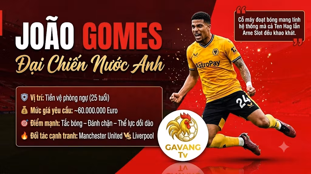Hình ảnh tiền vệ João Gomes trong cuộc đại chiến chuyển nhượng giữa Manchester United và Liverpool. Điểm tin chuyển nhượng bóng đá mới nhất cập nhật tại Gavang TV.